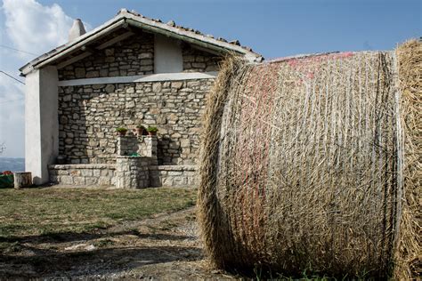 masseria pietrascritta|Fattoria didattica a San Fele con bambini